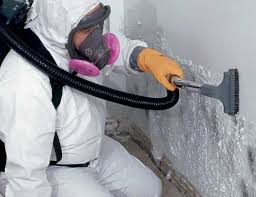 Best Real Estate Mold Inspection in East Merrimack, NH